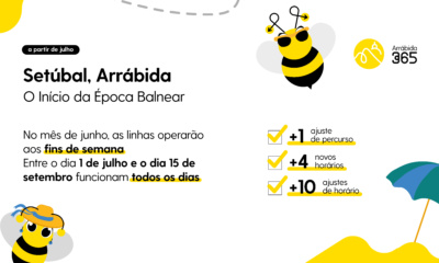 Cartaz informativo sobre o início da época balnear em Setúbal, Arrábida, com o título “O Início da Época Balnear”. Informa que em junho as linhas de transporte funcionam apenas aos fins de semana, e de 1 de julho a 15 de setembro funcionam todos os dias. Inclui ícones de abelhas com óculos e chapéu, além de ilustrações de praia. Destacam-se os seguintes pontos: "+1 ajuste de percurso", "+4 novos horários", "+10 ajustes de horário". A imagem é colorida, com elementos em amarelo, preto e azul. Logotipo “Arrábida 365” presente no topo direito.